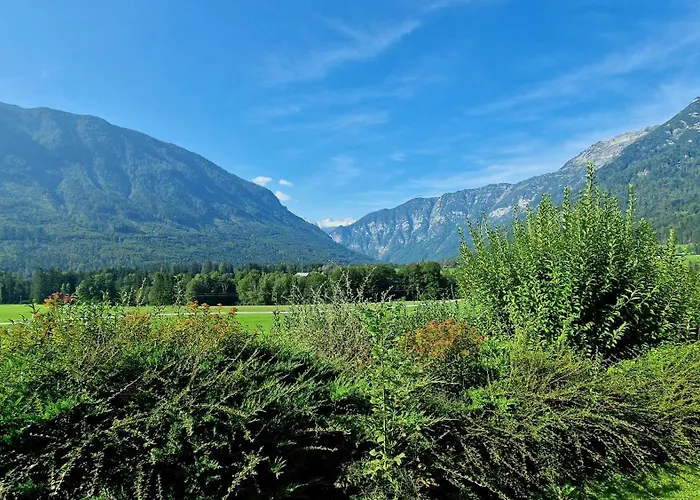 Dachsteinblick