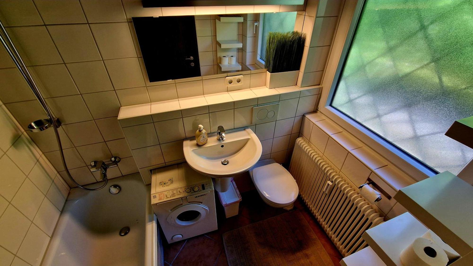 Dachsteinblick *